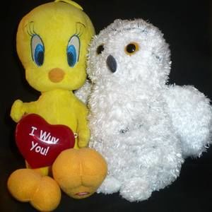 Meet your Posher, Denise